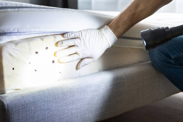Best Pest Removal Services  in Carbondale, KS
